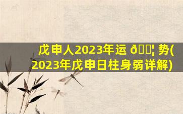 戊申人2023年运 🐦 势(2023年戊申日柱身弱详解)